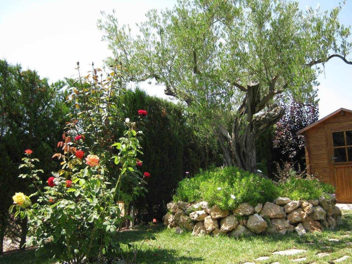 Casa Junto A La Playa Costa Dorada Villa L'Ampolla Eksteriør billede